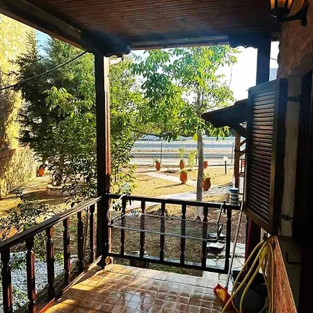Candys Yard 尼坡帝